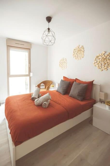 Le Cocon Manceau Apartment Le Mans Ngoại thất bức ảnh